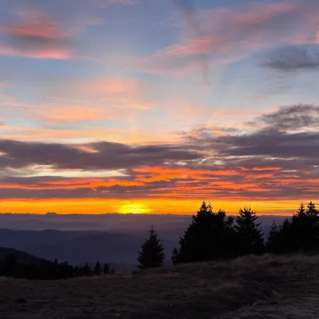 Monte Lux 10 * Kopaonik