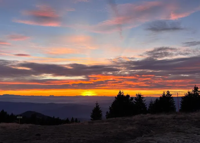 Monte Lux 10 * Kopaonik